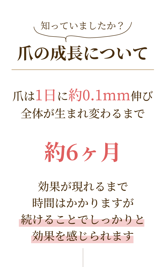 爪の成長について