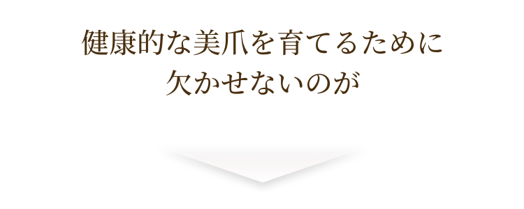 健康的な美爪を育てるために欠かせないのが