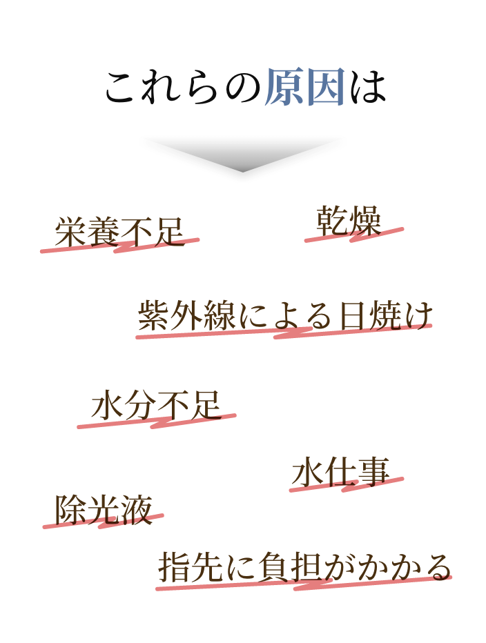 これらの原因は